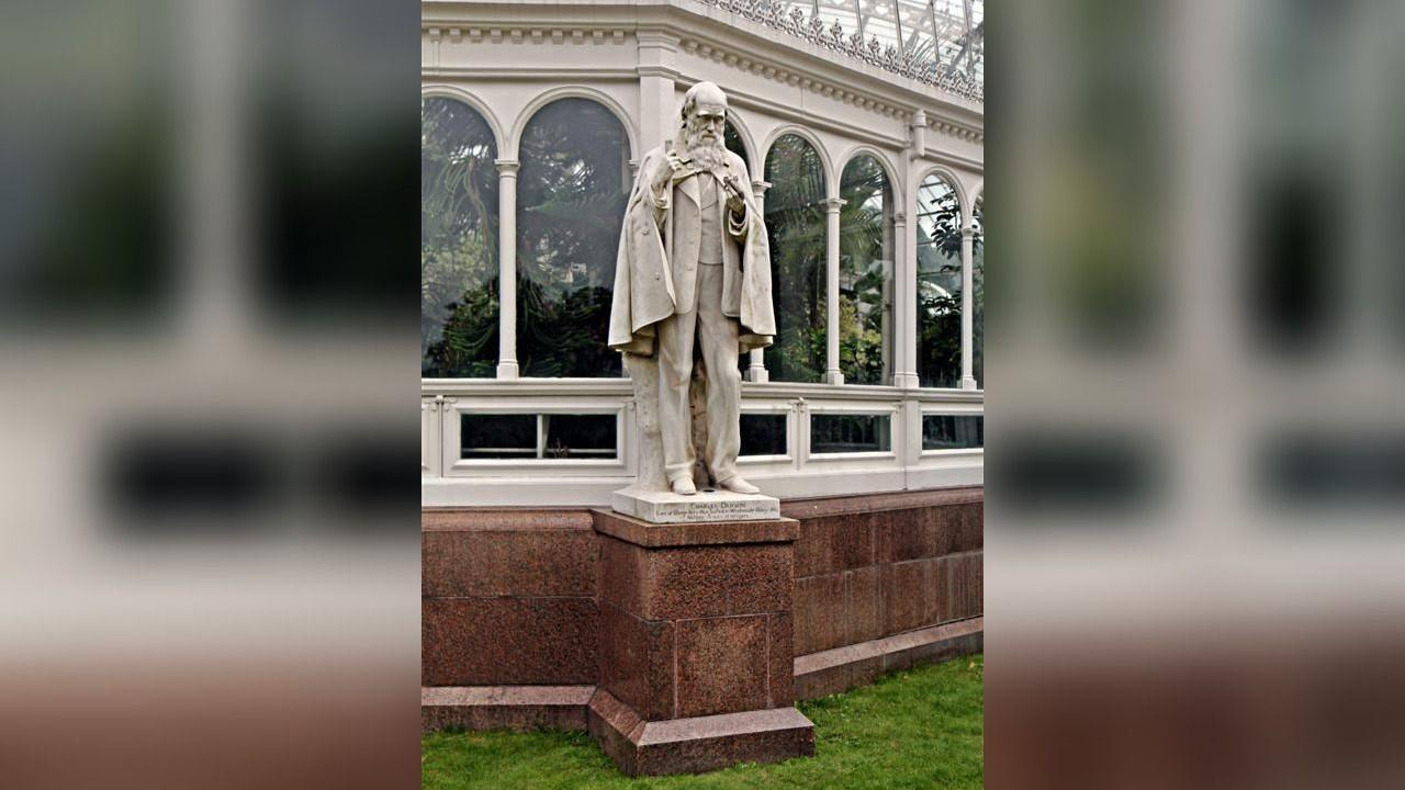 A marble statue of Charles Darwin, standing on a pedestal outside one corner of the palm house. Darwin has a long beard and wears a cape over his suit. The famous naturalist is holding up flower bud.