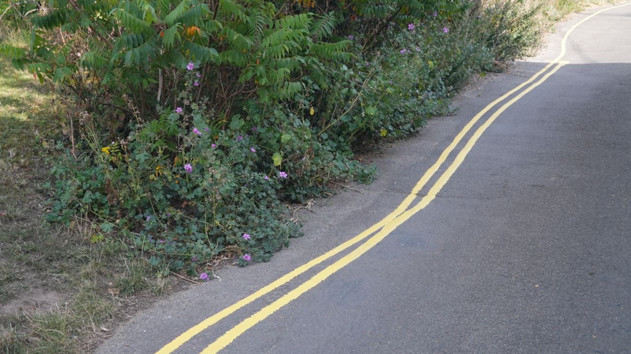 Double yellow lines on the left side of a lane are shown to overlap after being painted incorrectly, with bushes lining the side of the road.