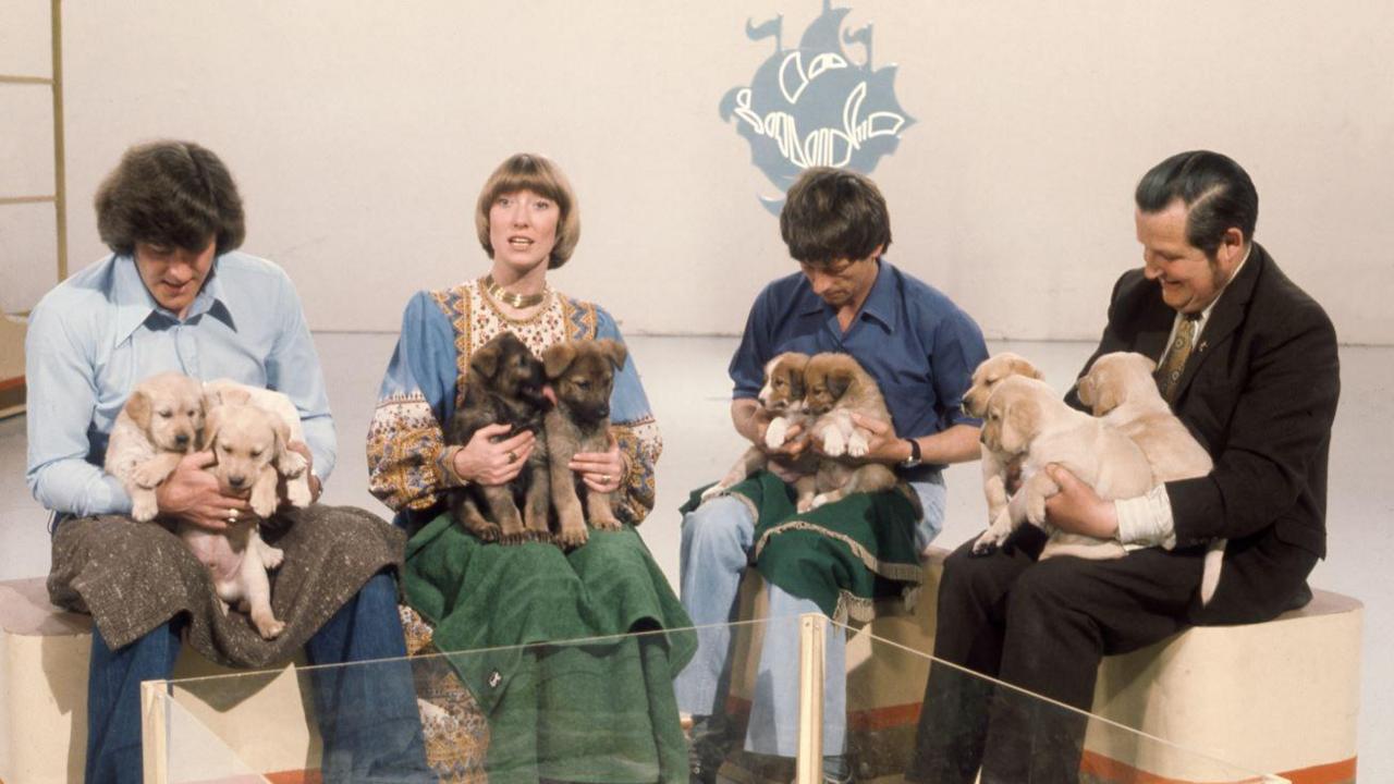 Three men and one woman sitting on benches in a Blue Peter studio each holding two to three puppies on their laps.  From left to right are presenters Peter Purves, Lesley Judd and John Noakes. Derek Freeman is on the far right. The Blue Peter ship logo can be seen on a wall behind them.