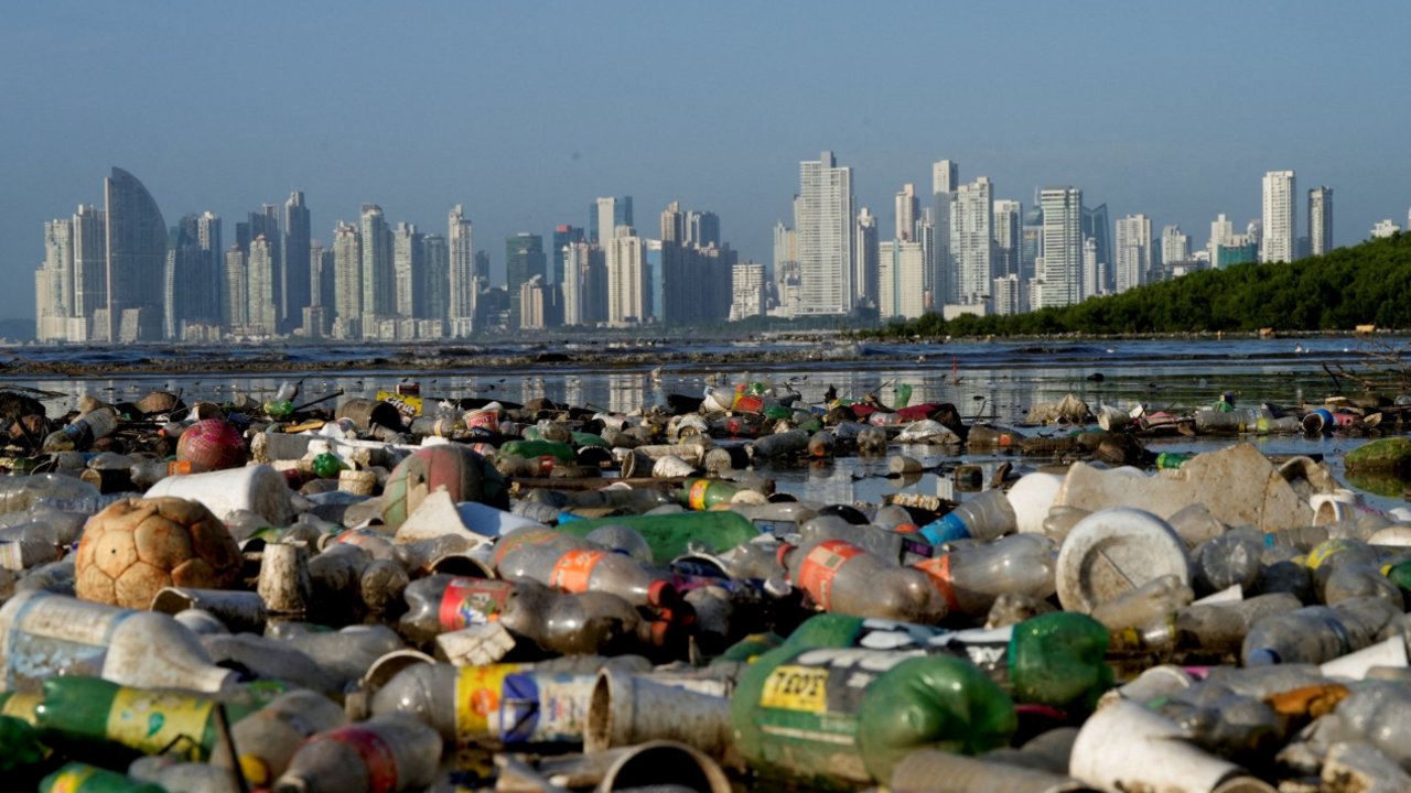 Plastic polluting a mangrove area lies in Panama Bay, Panama City - in the foreground are many plastic bottles and other bits of plastic waste, with the water of the mangroves visible behind them, and the skyline of Panama City then visible in the distance, setting up an interesting contrast 