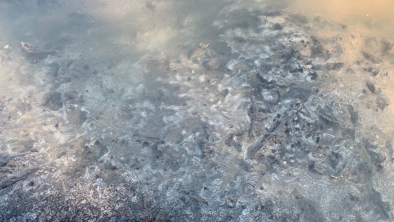 Grey, oily pollution in river water