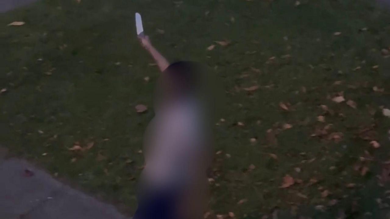 A blurred image of a man holding a knife in the air standing outside on grass with leaves