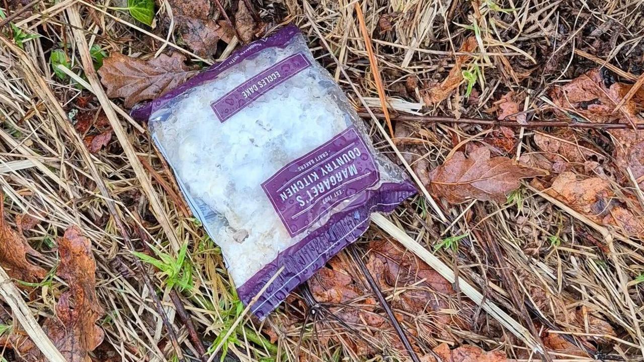 An Eccles cake looking slightly mouldy and not that appetising, wrapped in a plastic package and lying on grass, surrounded by dead leaves