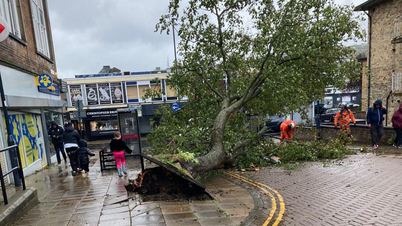 A large tree has fallen across a city street and sidewalk, uprooting pavement and exposing its roots. The scene is wet from rain, with people in raincoats nearby - some observing, others working to clear the debris. Buildings and storefronts line the background.