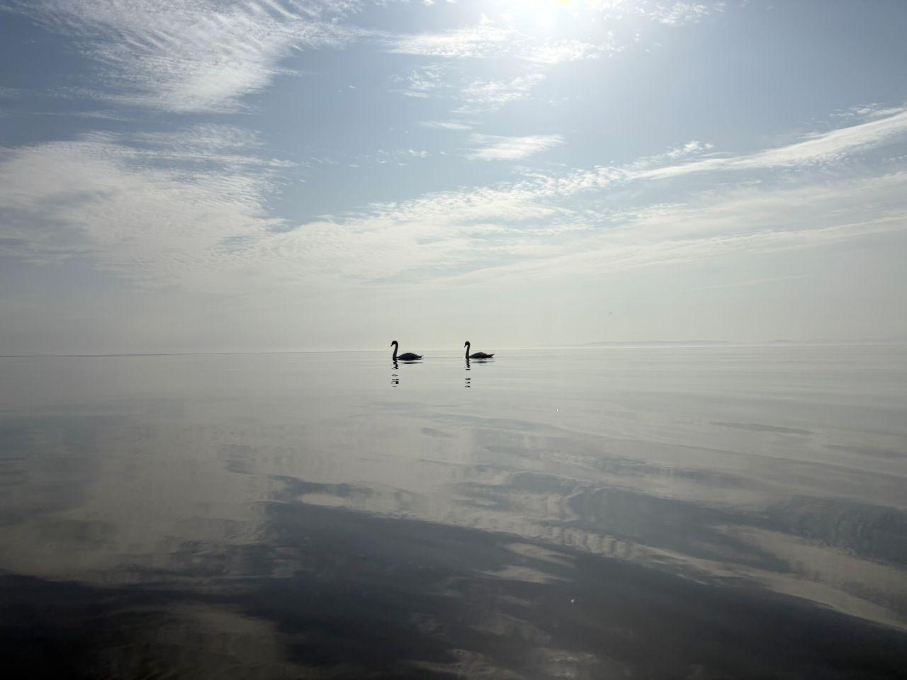 A large lake with two swans on the water in the distance