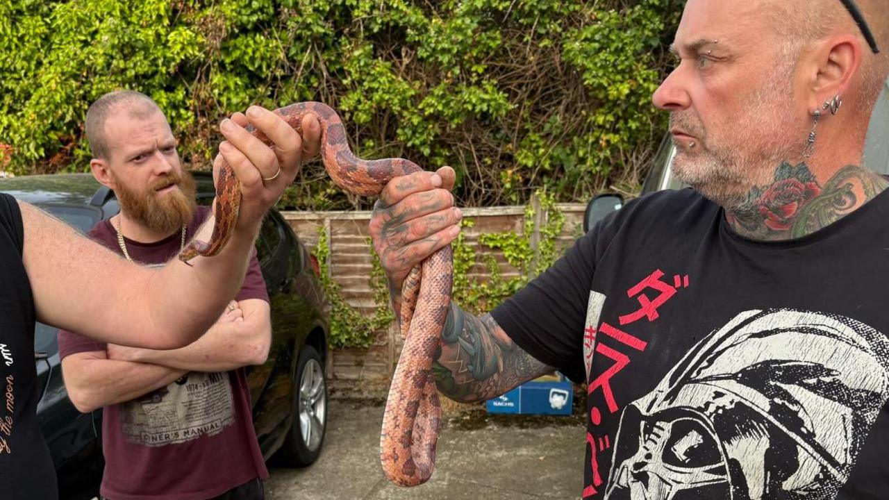 A tattooed man wearing a black T-shirt holds the long snake with another man, who is out of shot. He looks focused and is standing in a small car park. Another man watches on with his arms crossed.