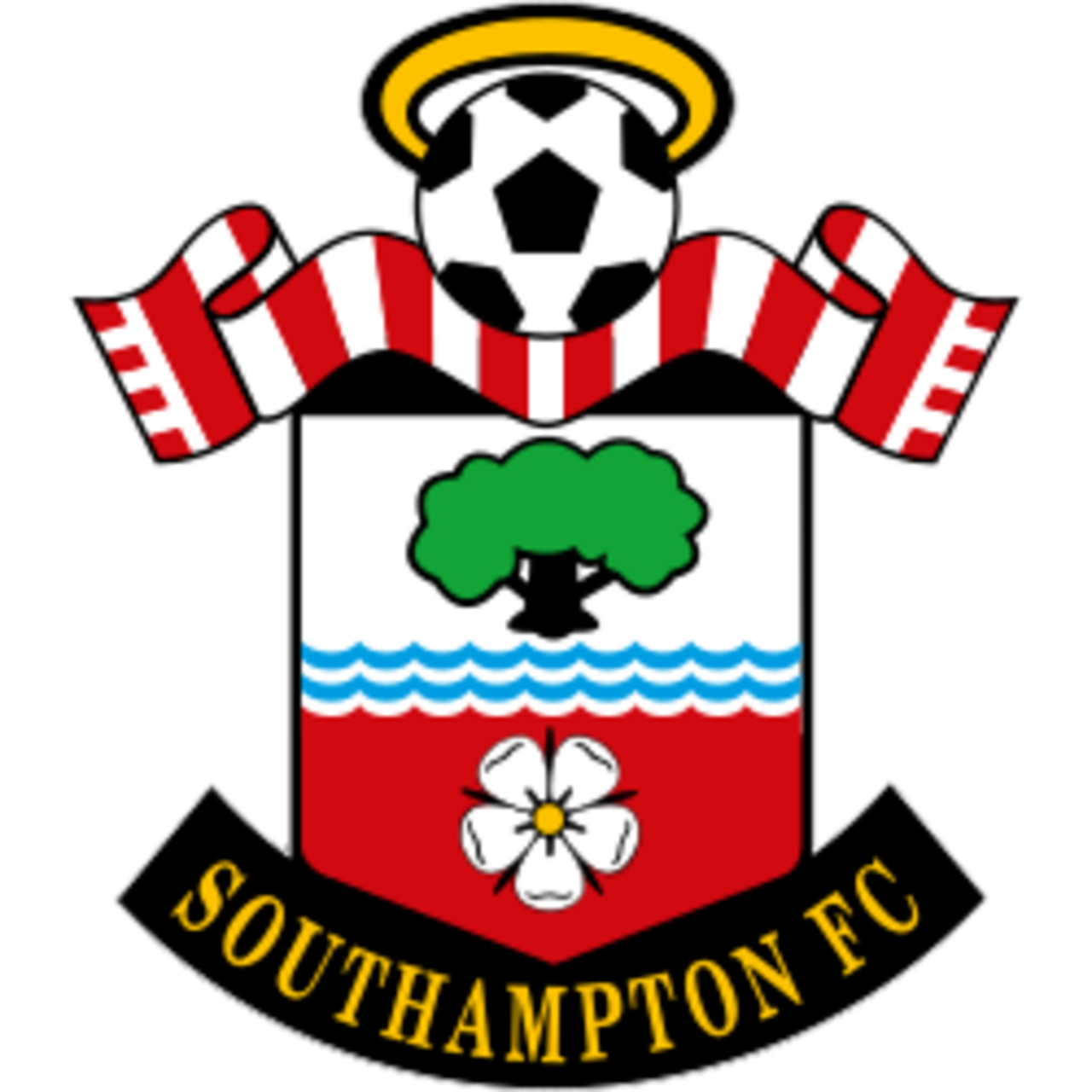 Southampton FC's Promotion Hinges on Play-Offs as Loan Deals Include Obligation to Buy — image 2