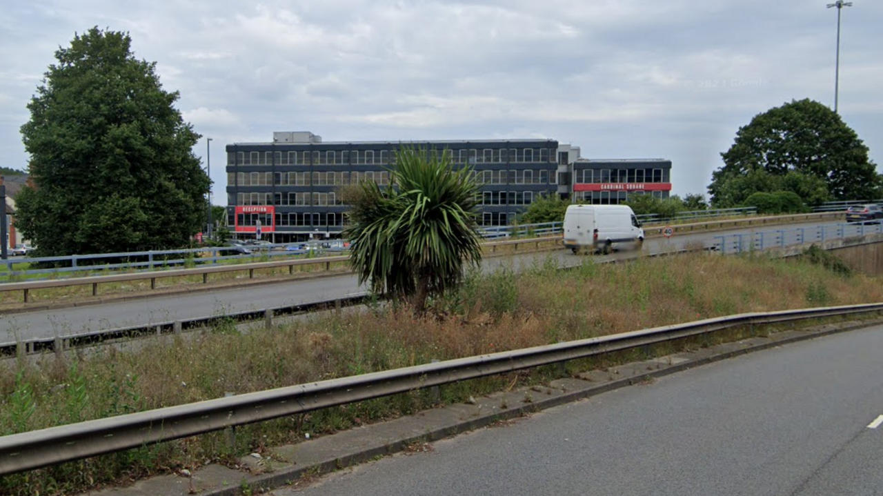 A small palm tree growing on the central reservation of a ring road