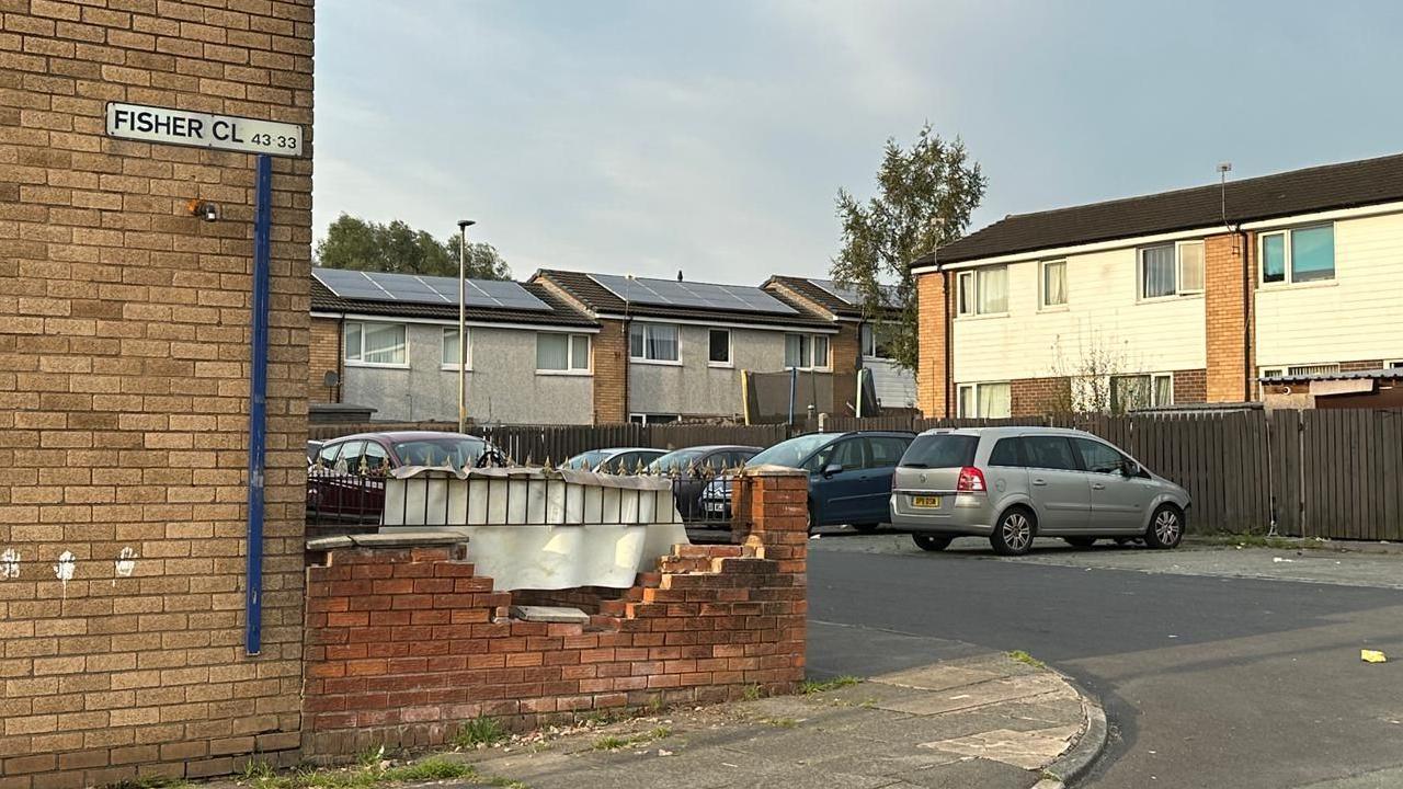 Houses around a shared drive in Fisher Close