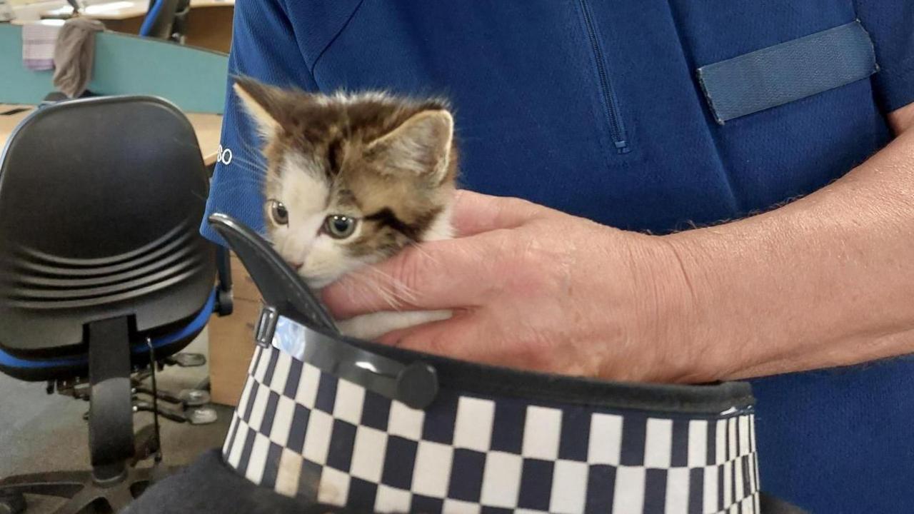 Chris Wiseman wearing a blue shirt and holding the small tortoiseshell and white kitten in his police helmet