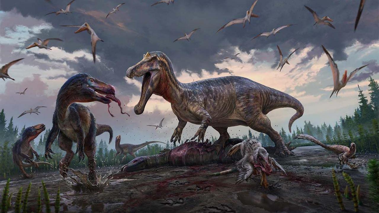 An Early Cretaceous floodplain in southeastern England, 135 million years ago: a spinosaur (centre) takes over the carcass of an ornithopod, much to the annoyance of the smaller tyrannosaurs (left) and dromaeosaurids (bottom right