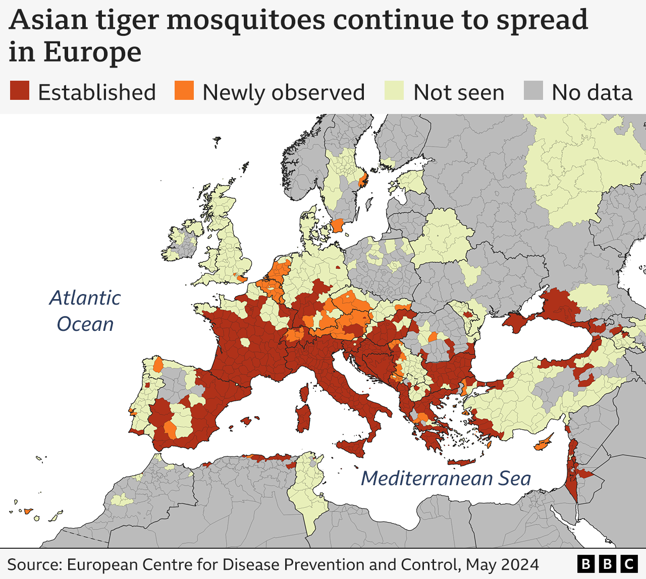 Asian tiger mosquitoes are spreading further north in Europe