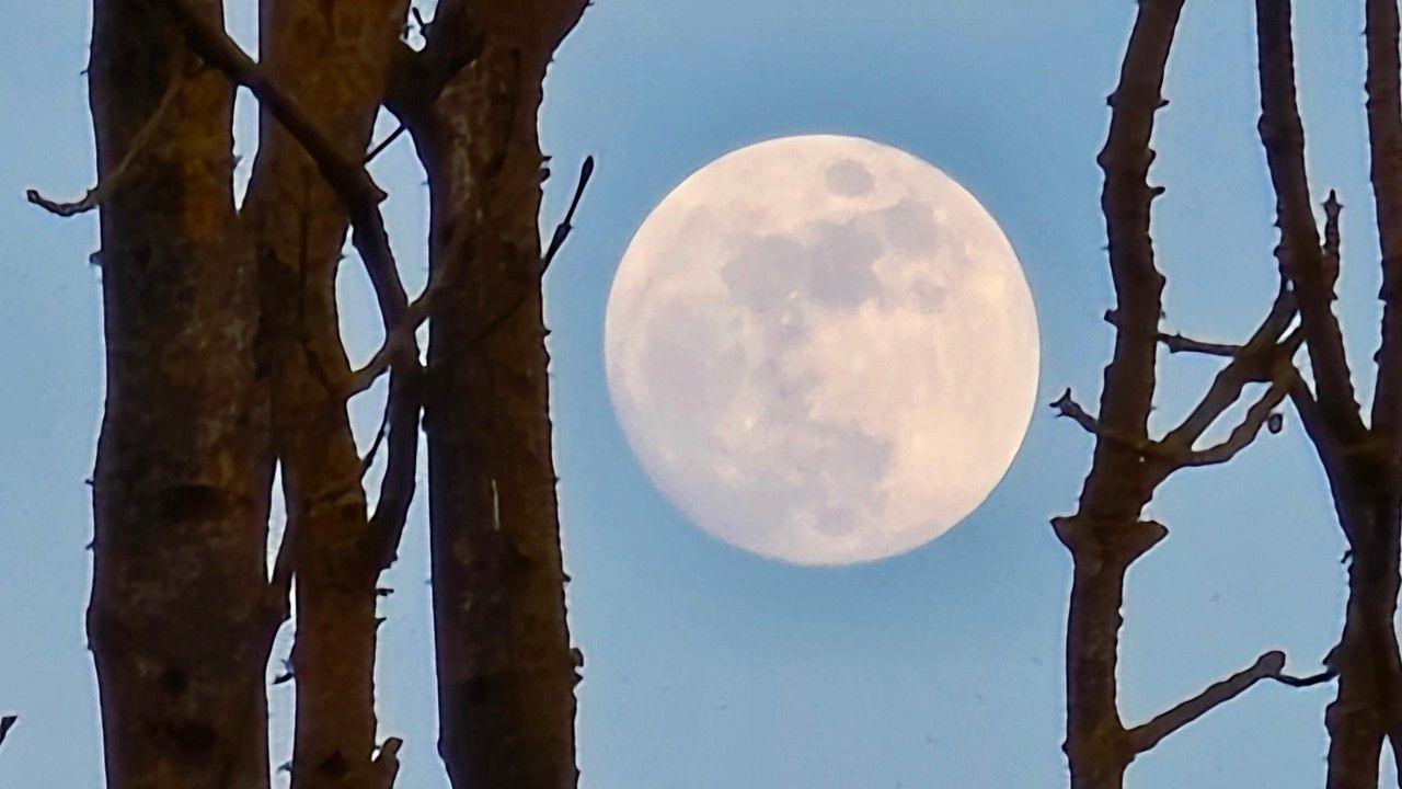 Optimal viewing times for April Pink Moon