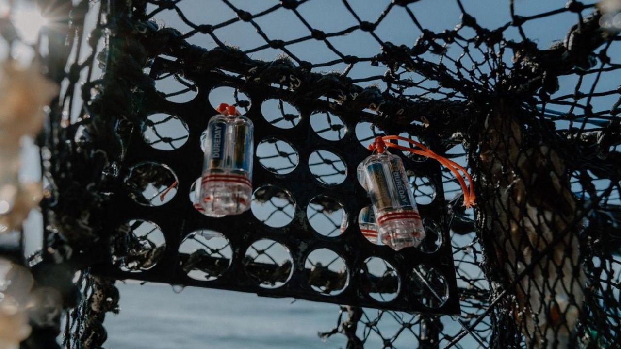 A photo from inside the lobster pot. The LED lights are tight to the top of the lobster pot. The sea and sky is in the background. 