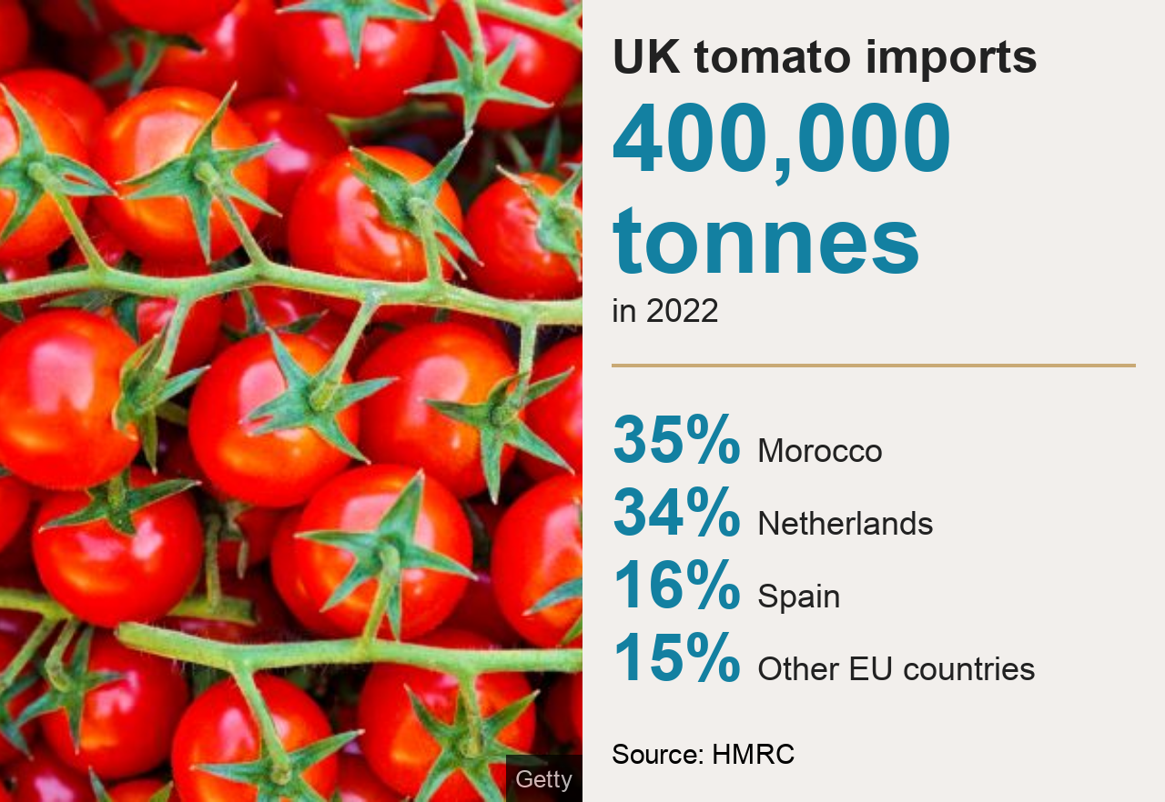 UK tomato imports in 2022: 35% Morocco, 34% Netherlands, 16% Spain and 15% other EU countries