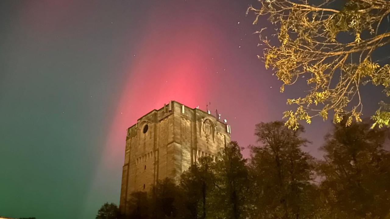 View of trees and the Westgate water tower in Lincoln with the green and purple of the Northern Lights seen above