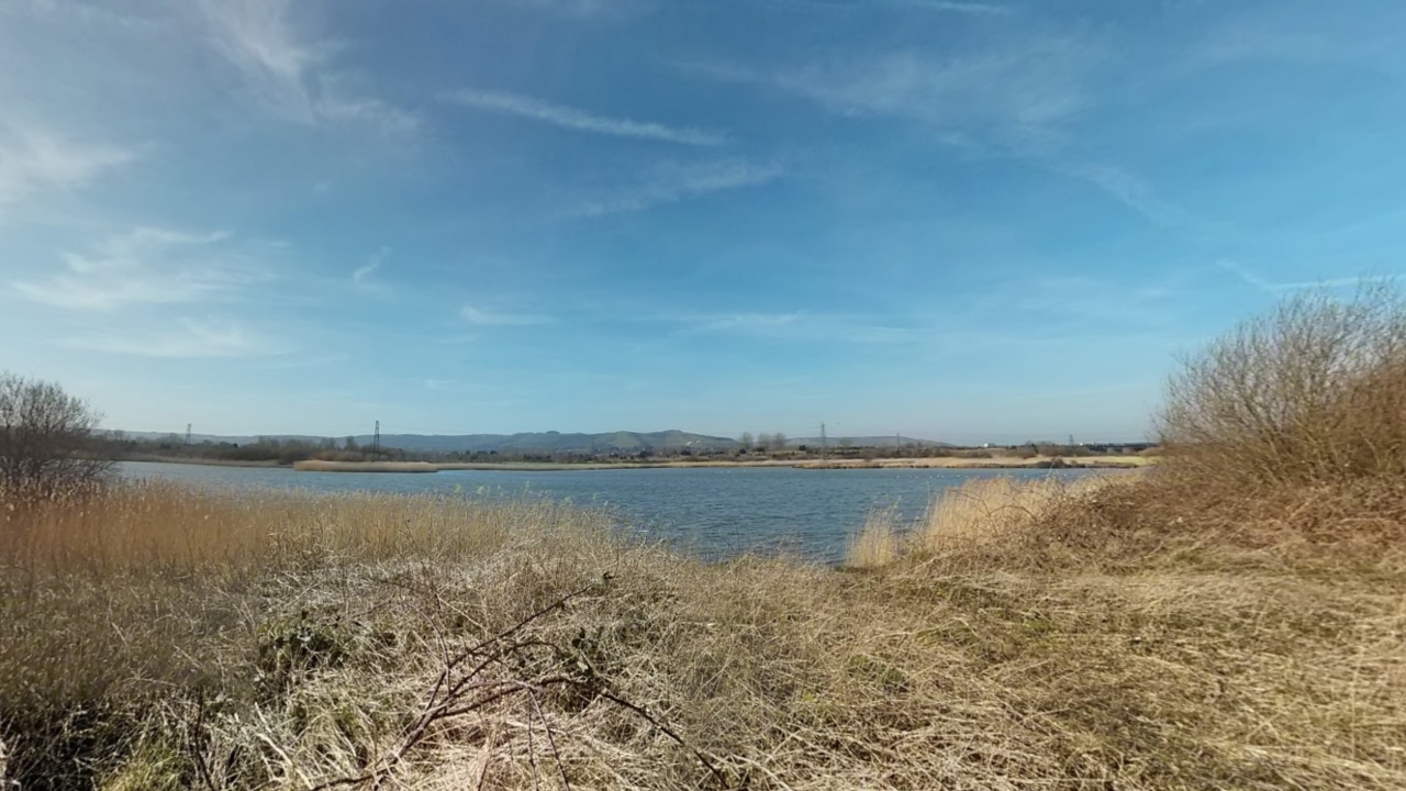 A Google Maps image of blue lake with scorched grass on the verge in the foreground.