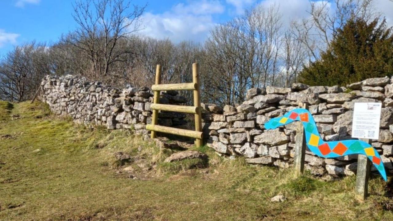 A blue wooden snake with colourful diamond pattern down its back. It is nailed to two wooden posts and positioned beside a granite wall in the countryside. There is an information board with a QR code secured beneath it. In the middle of the wall there is a wooden ladder to climb over it, and on the other side there are lots of trees stripped of their leaves.