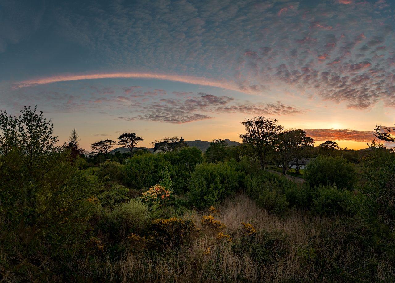 The sun setting in a cloudy sky illuminating a garden