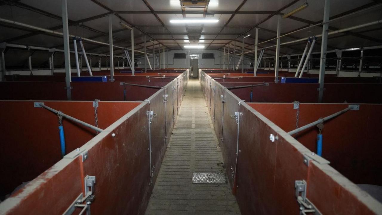 A symmetric view of a walkway with several brown enclosed compartments each side. There is bright lighting above and several metal bars coming down from the ceiling.