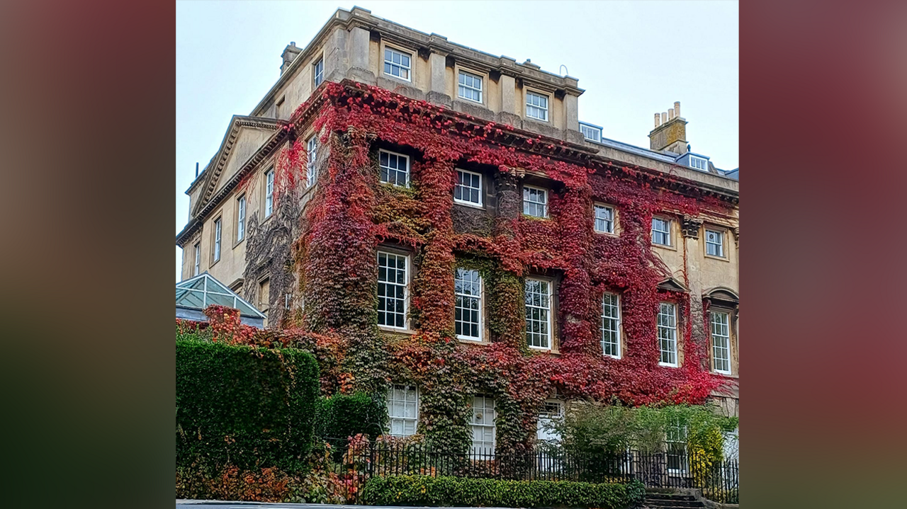 A picture of Queen Square in Bath, with red and brown foliage covering a building.