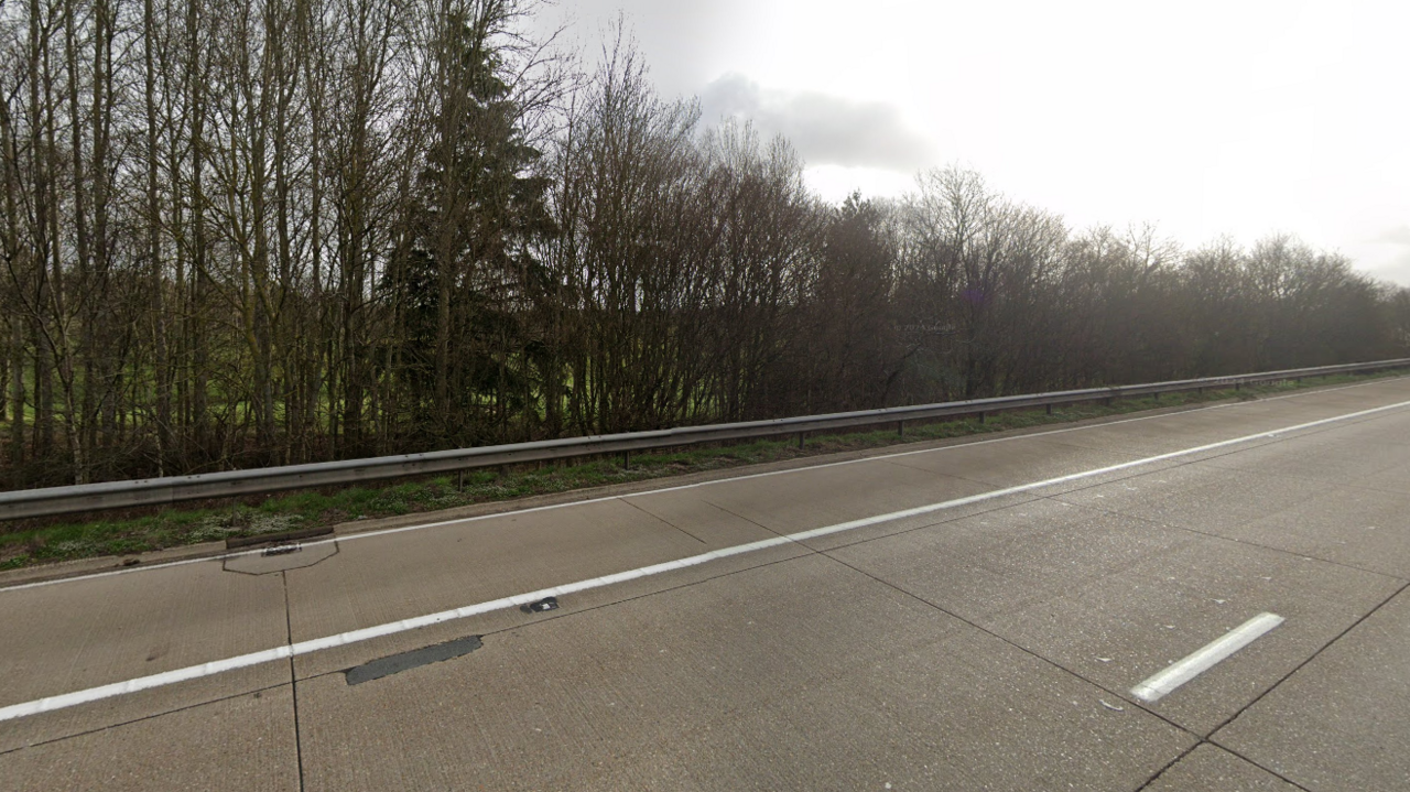 A nondescript section of grey road with leafless trees in the background