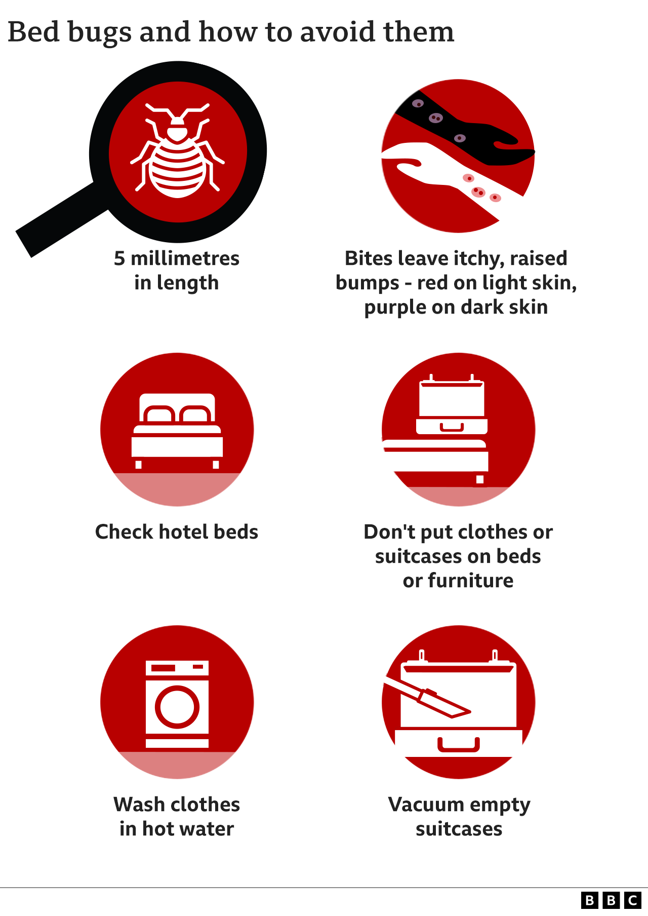 Graphic explaining what bed bugs are and how to avoid them. They are 5mm in length and their bites leave itchy, raised bumps - red on white skin, purple on black or brown skin. Check for them in hotel beds and don’t put clothes or suitcase on hotel beds or furniture - and wash clothes in hot water when you get home.