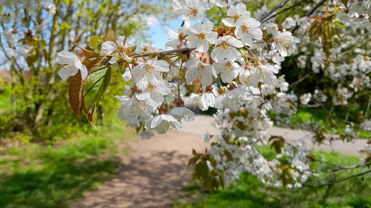 Meadow Park, in East Leake