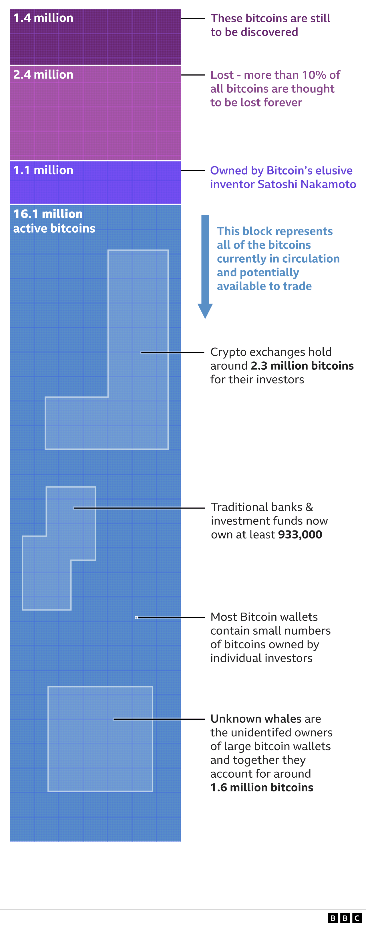 Graphic showing how of the 21 million bitcoins available 1.4 million are still to be discovered and 2.4 million have probably been lost forever, with another 1.1 million owned by Bitcoin's inventor Satochi Nakamoto. Of the 16.1 million bitcoins in circulation the majority is owned by small investors but 1.6 million is owned by 'unknown whales' - investors with large bitcoin wallets who remain unidentified.