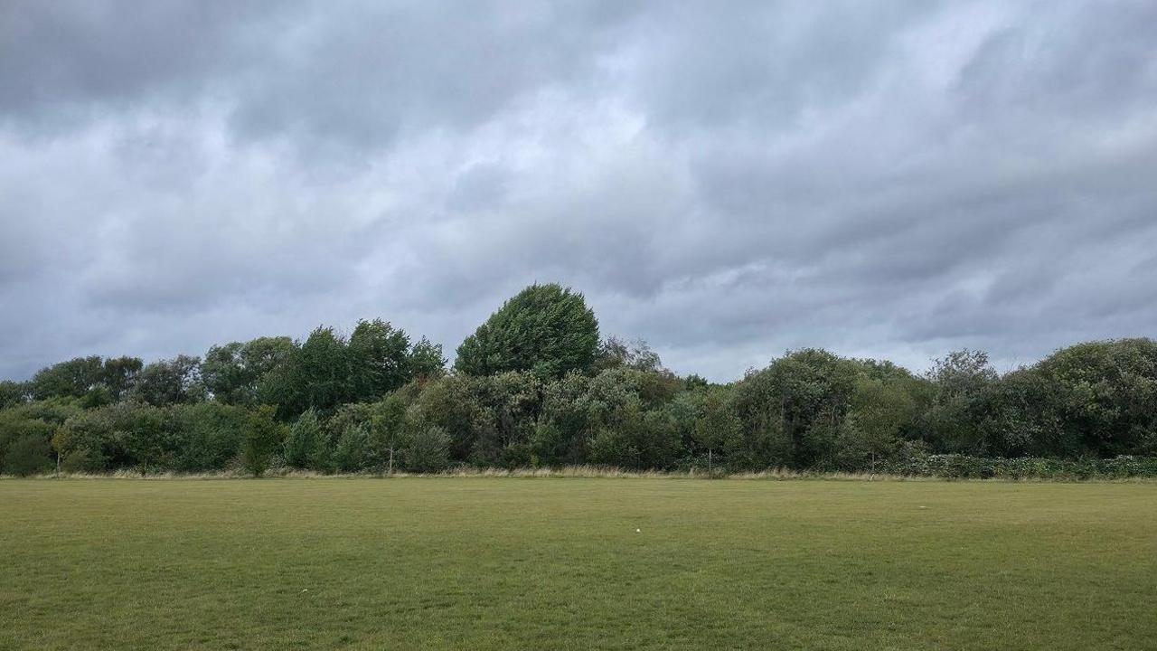 Grey clouds scud over the top of a bank of green trees at the back of a green field.