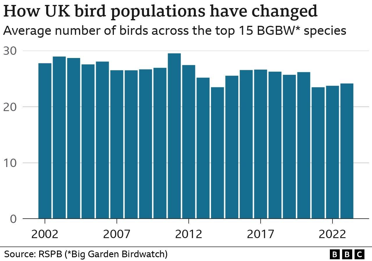 Bar chart showing bird sightings