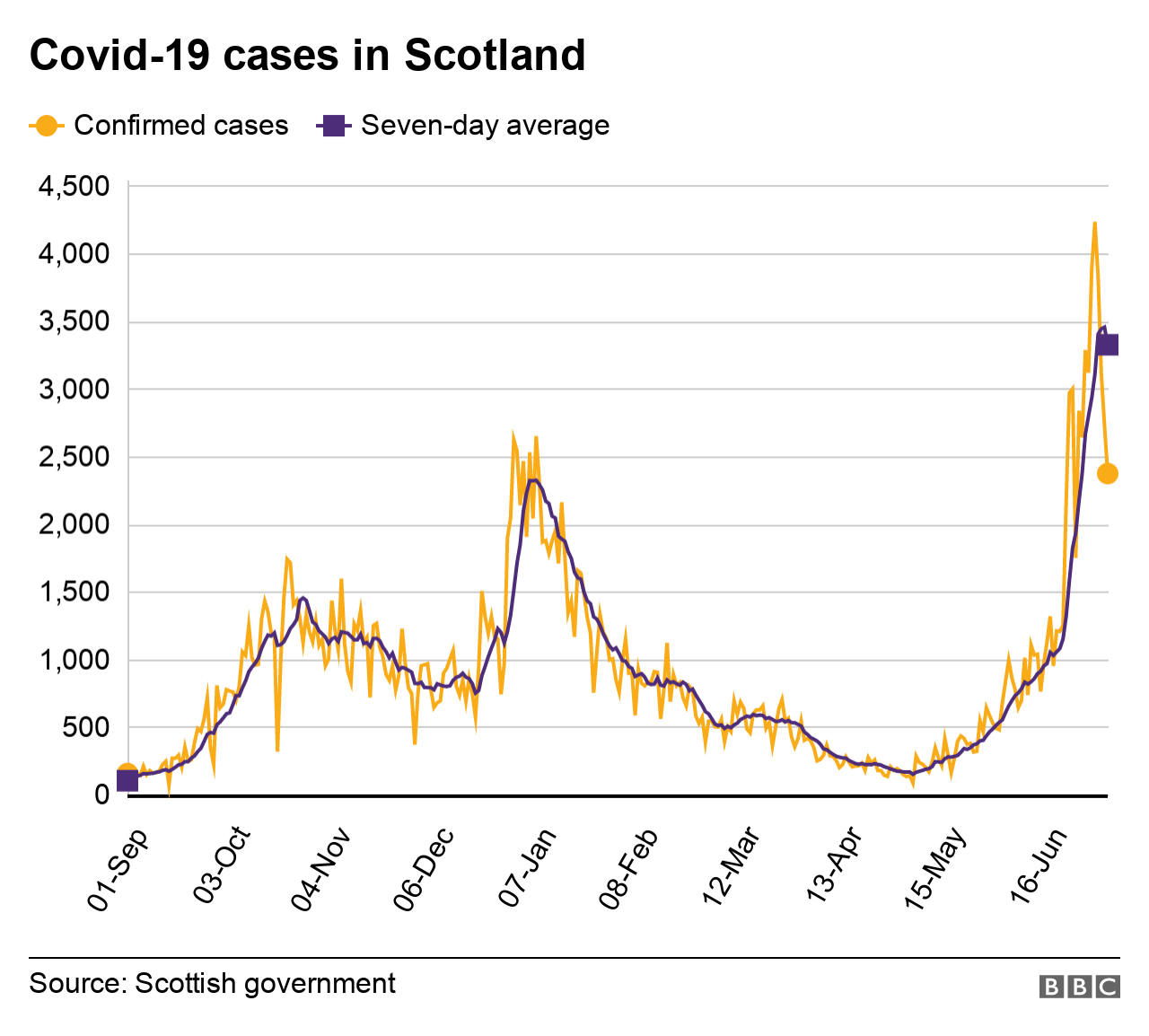 cases 5 JUL