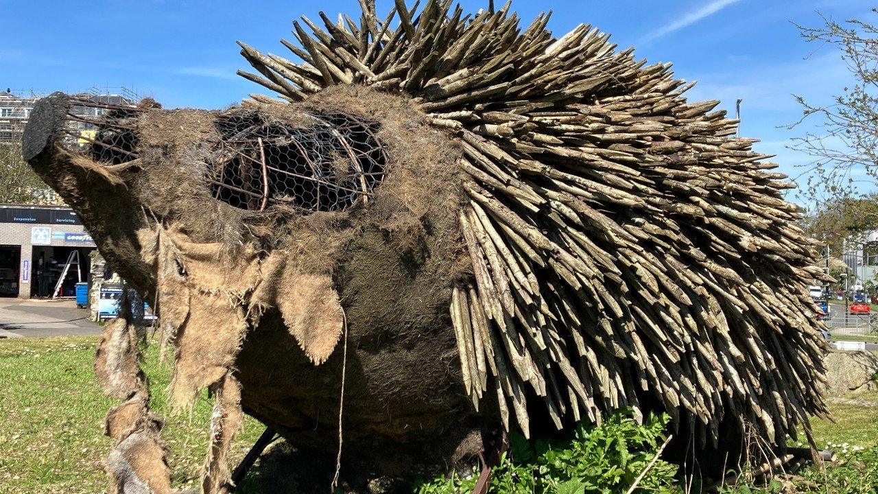 The larger hedgehog in need of repair