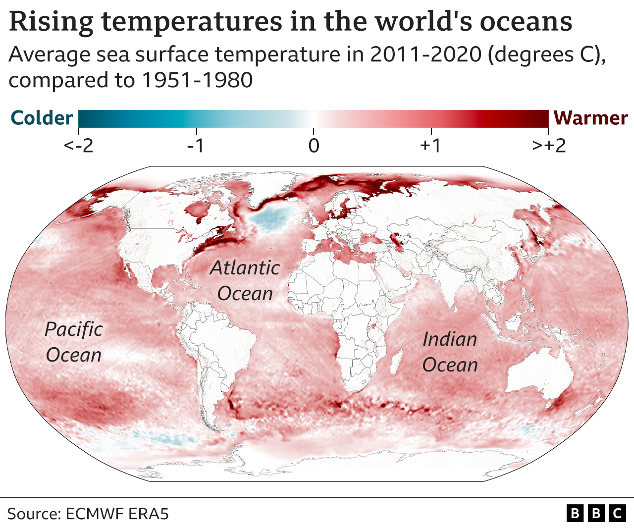 Map of average sea surface temperatures between 2011-2020 compared to 1951-1980. Almost all the world's sea surface has warmed, with especially strong warming in the Arctic of more than two degrees Celsius in places. There is a localised area of cooling southeast of Greenland.