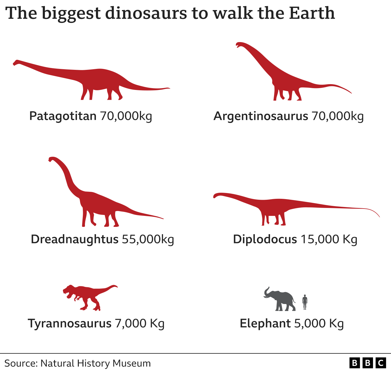 Size comparison