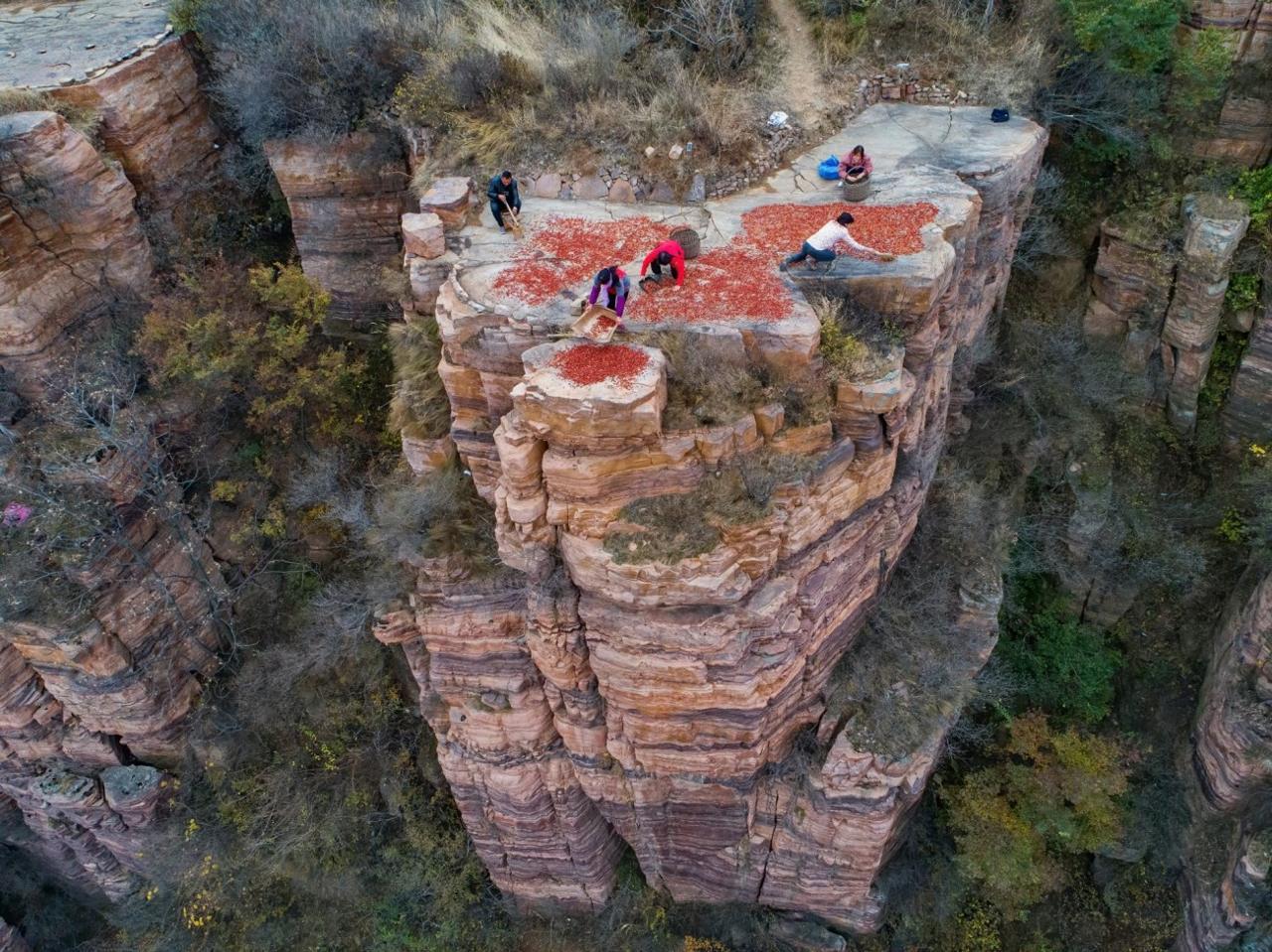 Basket Crops on the Cliff.