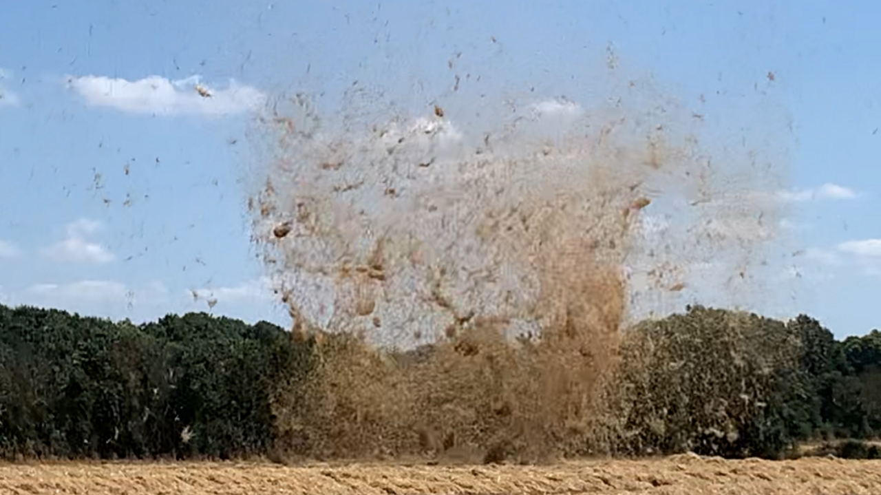 Hay has been caught in a wind spiral with trees in the background amidst a blue sky with a few clouds