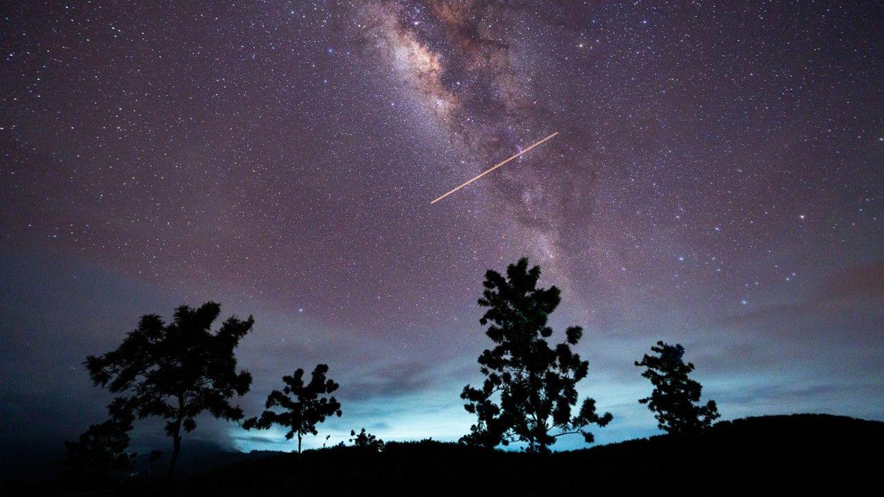 a view of the Eta Aquarid meteor shower in a starry night sky with four trees silhouetted 