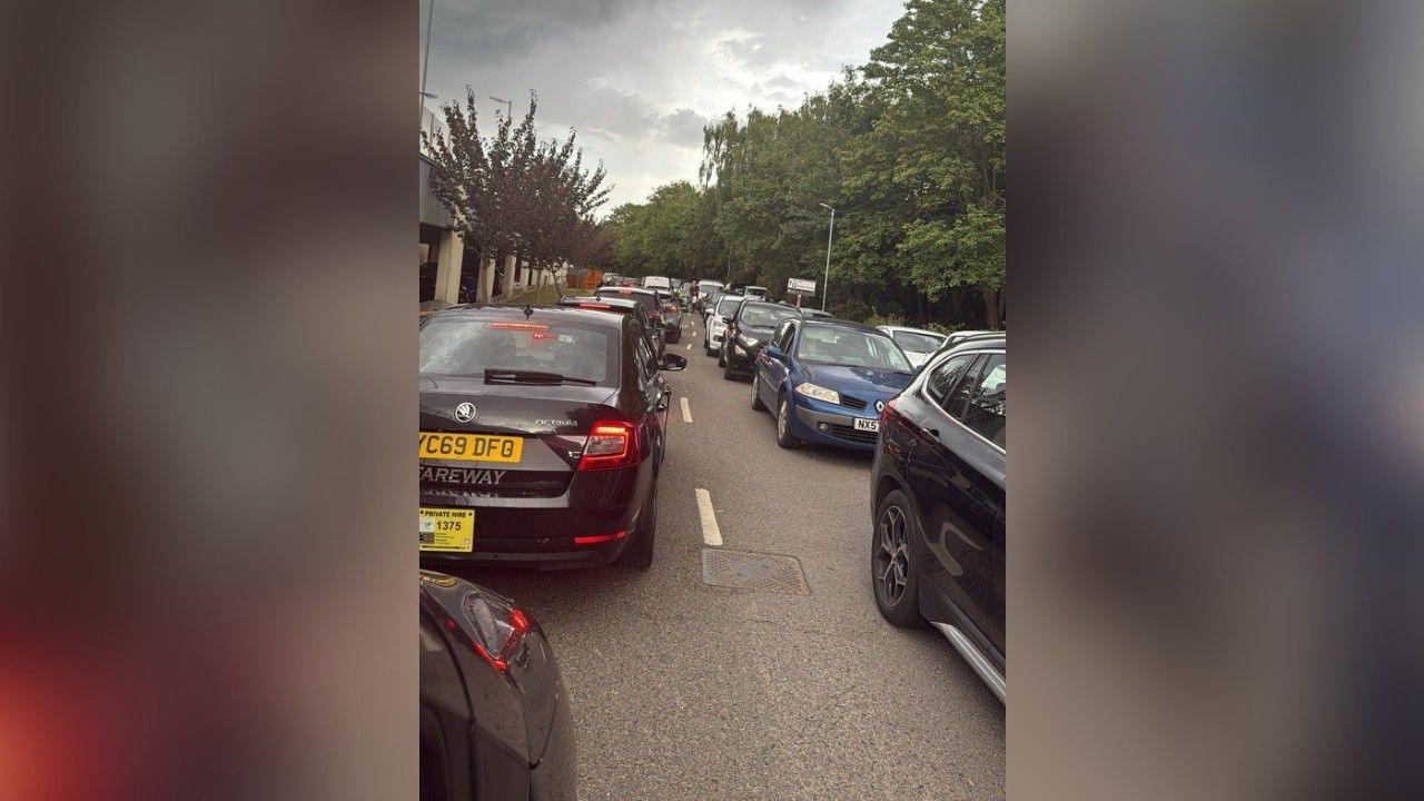 Two standstill queues of traffic going in either direction on a road a tree-lined road.
