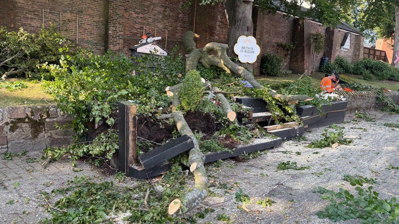 A large, leafy branch has smashed a black bench. Soil from the bench's flower display is strewn over the pavement.