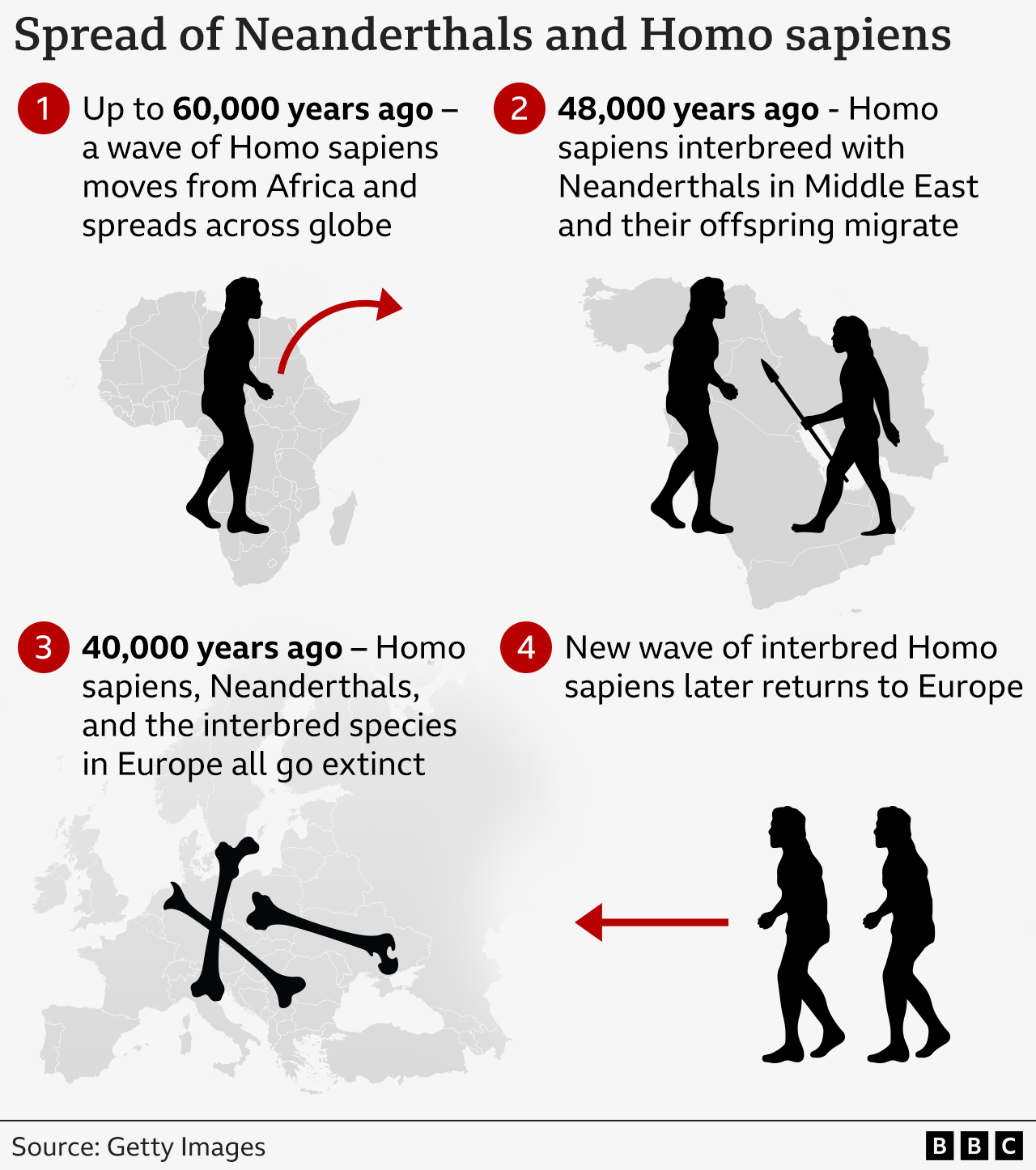 Four panels showing how 1. Humans left Africa, 2 interbred with Neanderthals 48,000 years ago, 3. 40, 000  years ago Both species of humans go extinct in Europe 4. A new wave of interbred Homo sapiens move in