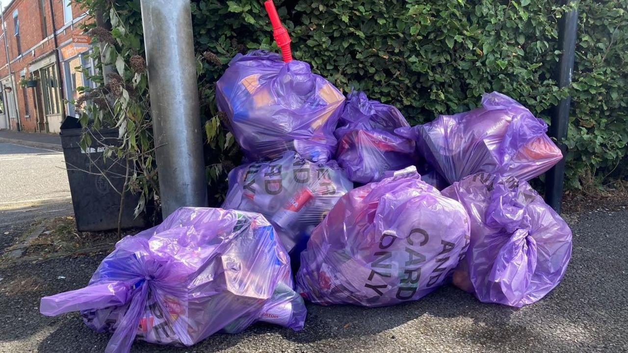 Some of the rubbish collected by the Spalding Wombles. It has been collected into seven purple bags. 