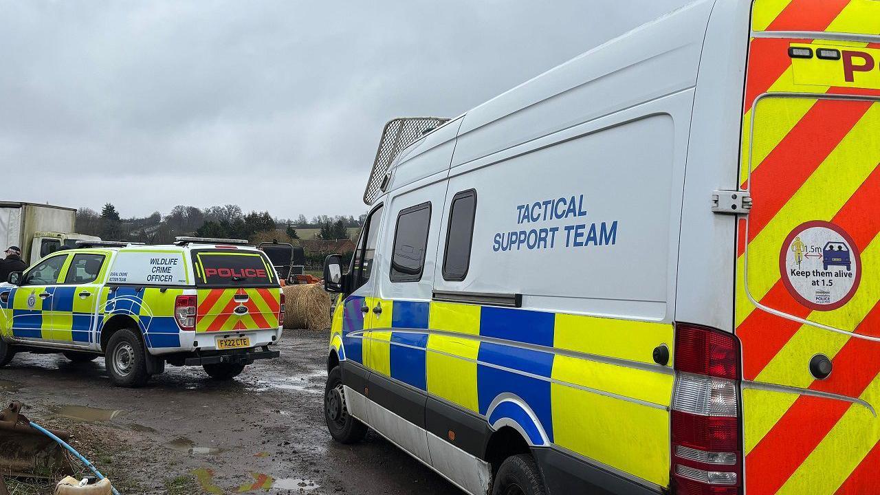 Two police vehicles parked. One police vehicle says POLICE in red writing on the back. The other is a larger van which reads TACTICAL SUPPORT TEAM. 