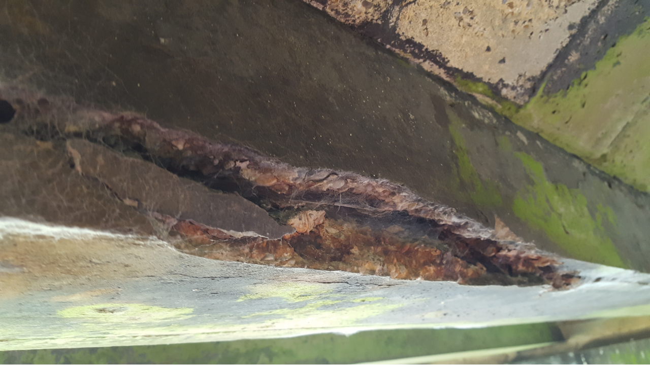 Damage in a bridge beam in 2019