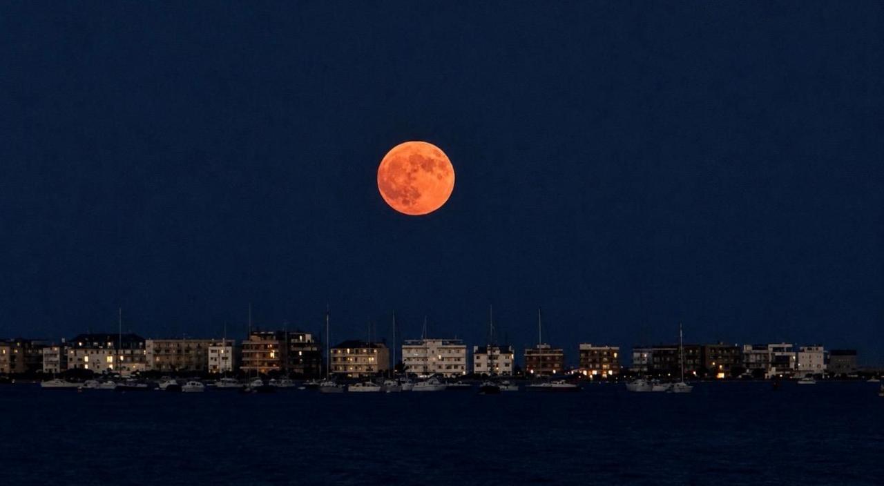 Buck Moon shining above a harbour with small boats and buildings beneath 