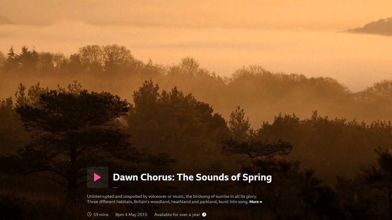 The sun creates an orange glow rising behind trees and a stretch of water