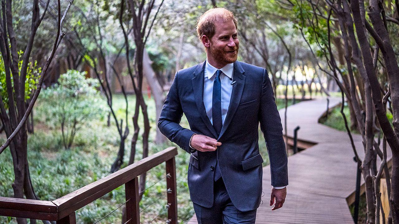 Prince Harry walks through an outdoor green space, wearing a suit and tie, while looking away from camera, taken in Johannesburg in October.