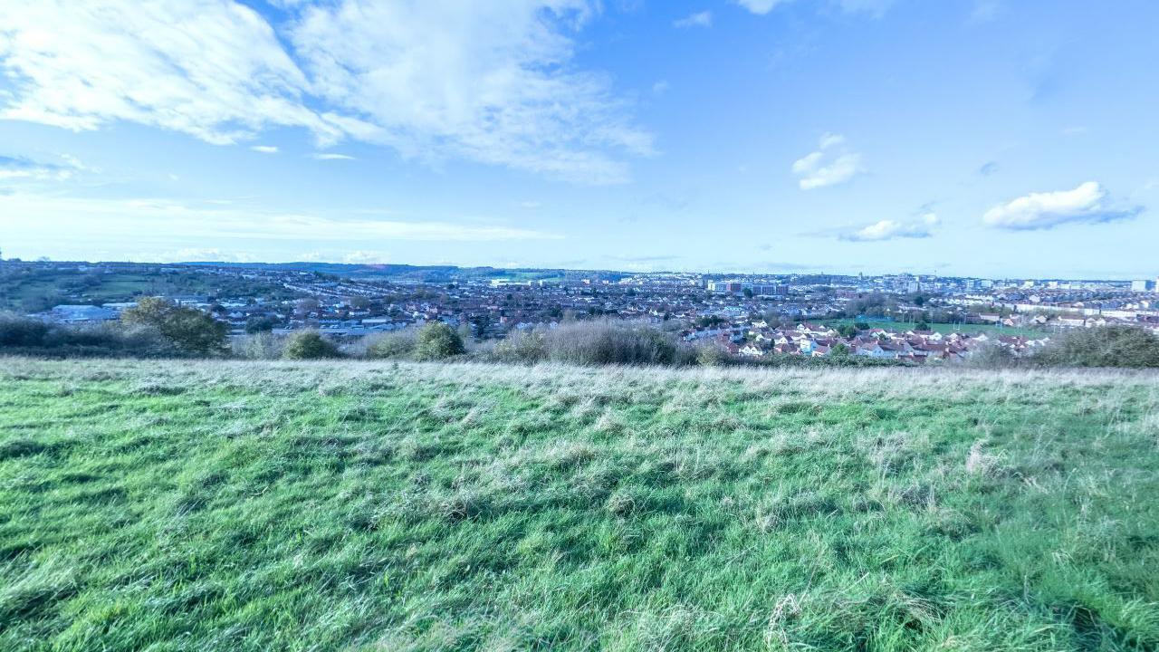 A park with a view of the city