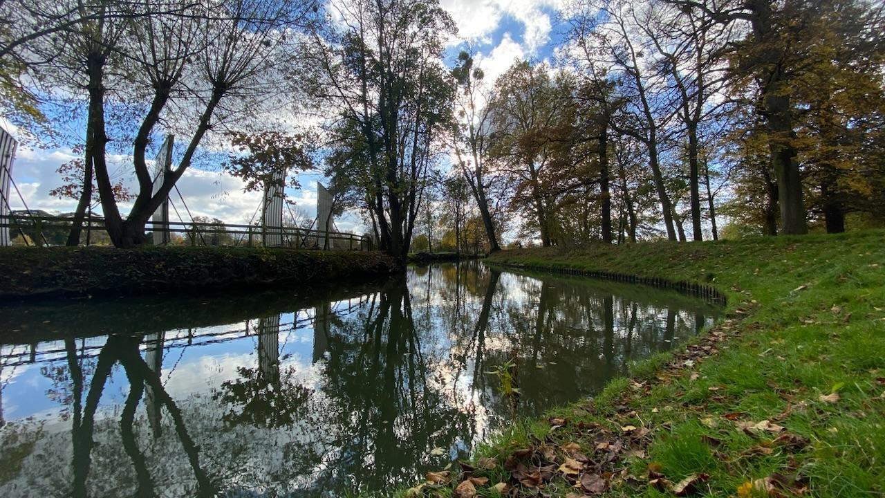 A water way dominates this image, with a grassy bank covered in leaves on one side and a fence running along the other. Several trees are standing tall and are being reflected in the water.