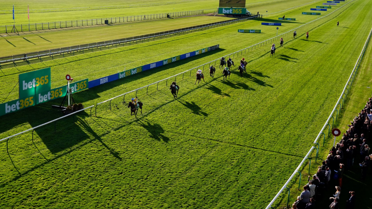 Horses race on the Rowley Mile at Newmarket Racecourse in Suffolk